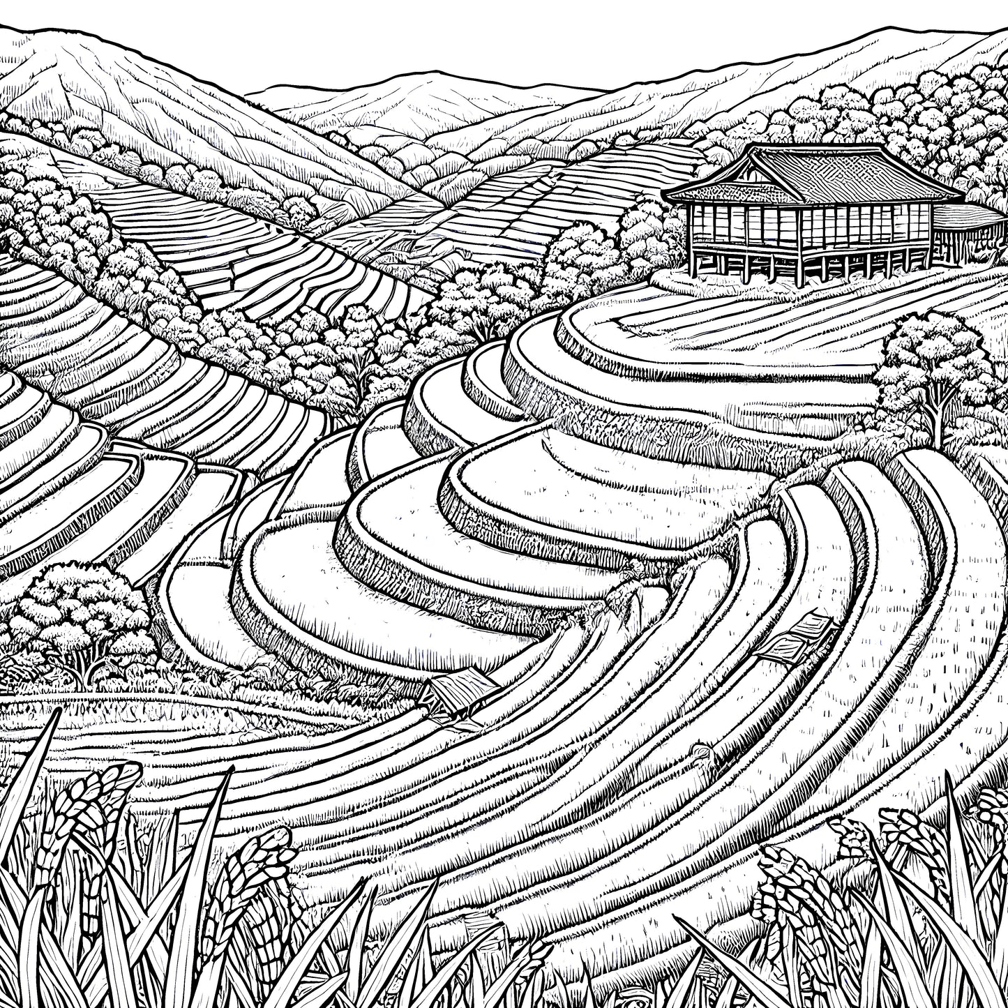Color in Japan - Full Coloring Book (75 pages downloadable printable)